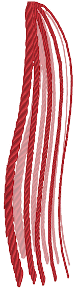 Cowboy Carter Fringe