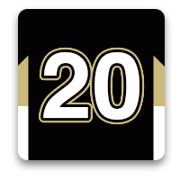 Pittsburgh Penguins Fan